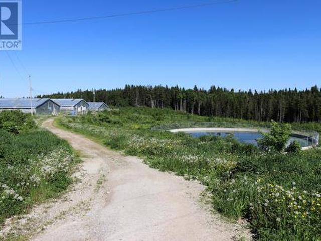 43 47 Birch Avenue, Cormack, NL, A8A 2M3 farm for sale | Listing ID 1295 | Royal LePage