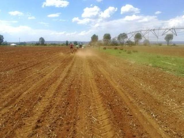 43.61 ha irrigation farm between pot.
