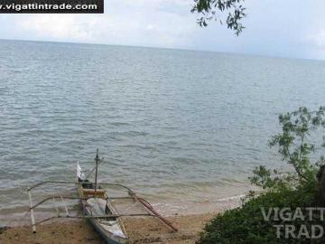 4000sqm shoreline beach lot for sale in Medellin Cebu