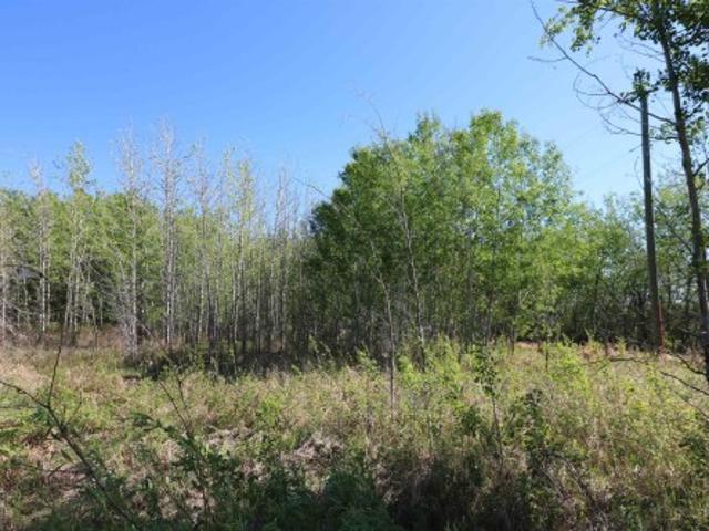 400 54 Rge Rd 40, Rural Lac Ste. Anne County, AB, T0E 0A0 vacant land for sale | Listing ID E4499 | Royal LePage