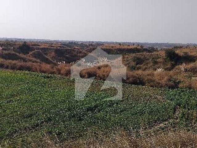 400 Kanal Agricultural Land For Sale In Balksar