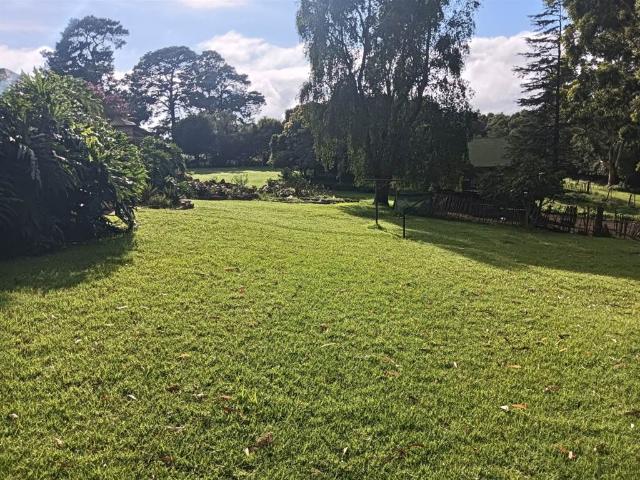 40.5 ha Farm in Greytown