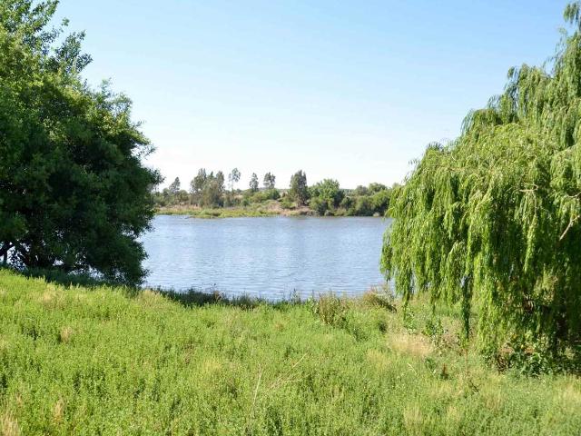 40.5Ha Vaalrivier plaas met 20ha lande