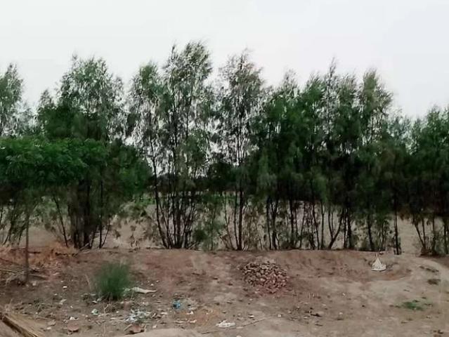 40 Acer zameen for sale Bhakkar ID 14632