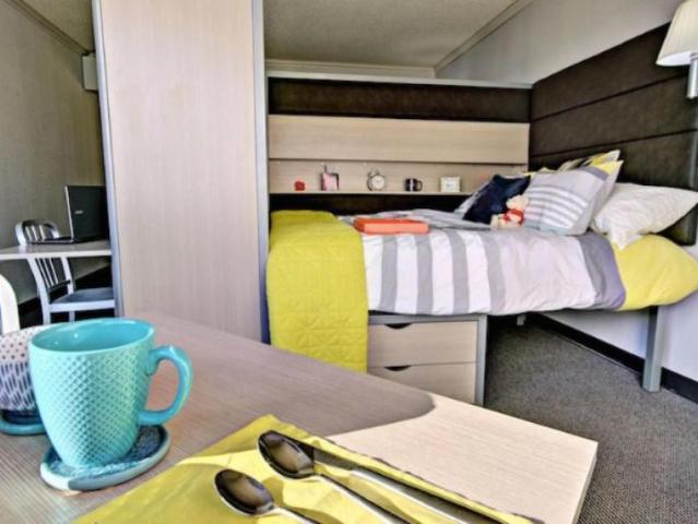 40 Bedroom Shared Living/roommate Montreal Montreal 90559213