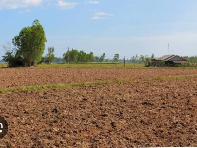 Commercial Land 982 Sq.Yd. In Ghatlodia Ahmedabad Listing ID: #8669