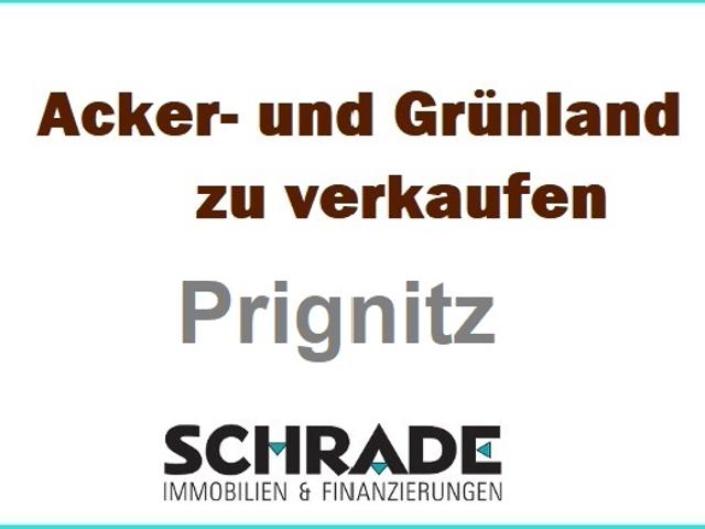 40 ha Grünland und Acker in der Prignitz