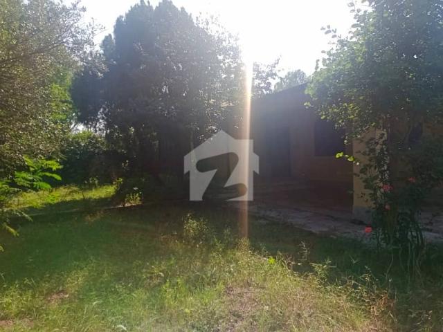40 Kanal Farmhouse + 6 Kanal Additional Land | Chak Shahzad Farms