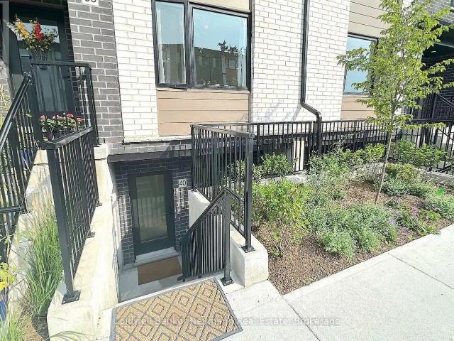 40 LILY LANE