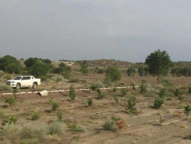 40 murabay rakba for sale urgent Multan ID 48208