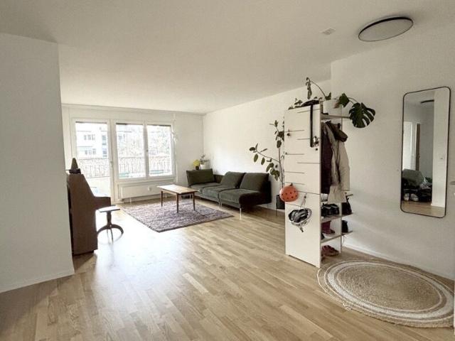 41/2 ROOM APARTMENT IN BASEL BACHLETTEN/GOTTHELF, FURNISHED, TEMPORARY