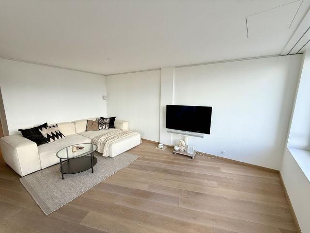 41/2 ROOM APARTMENT IN DIETIKON ZH, FURNISHED, TEMPORARY