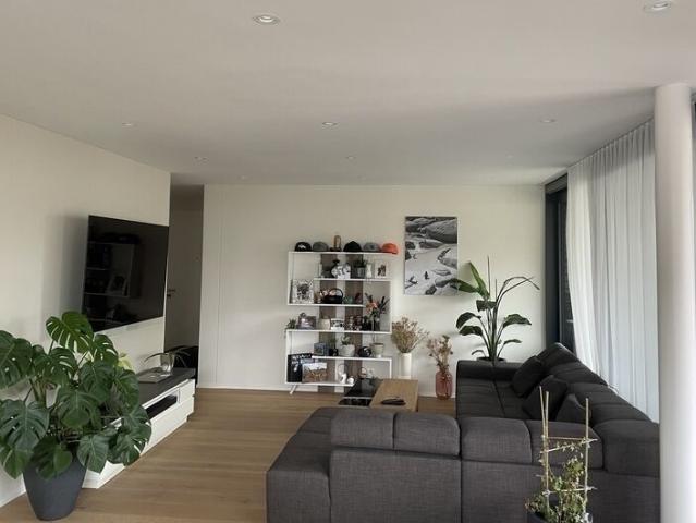 41/2 ROOM APARTMENT IN UNTERÄGERI ZG, FURNISHED, TEMPORARY