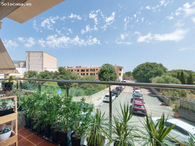 4138 PISO CON MUCHA LUZ EN ZONA TRANQUILA EN LA CIUDAD DE ALCUDIA