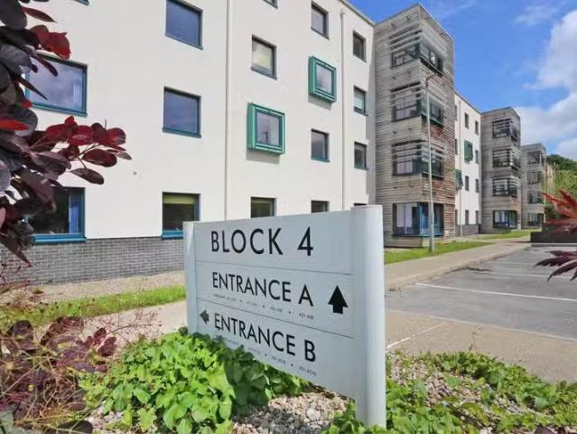 414, Block 4A, Brookfield Hall, Castletroy V94 CD77, Castletro.