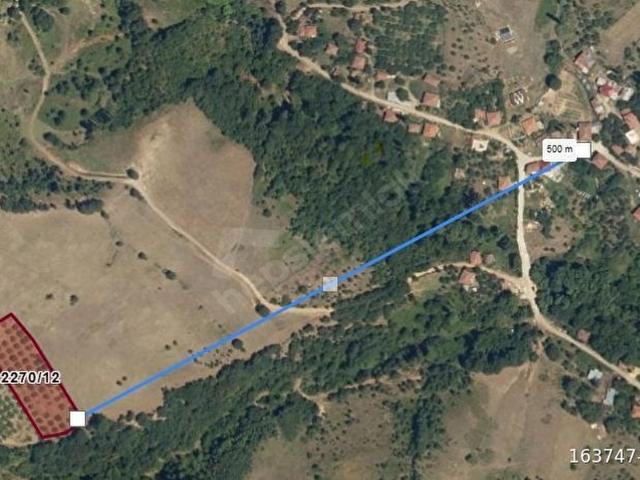 4173m2 iZNİK SÜLEYMANİYE MAH.KÖY YAKININDA