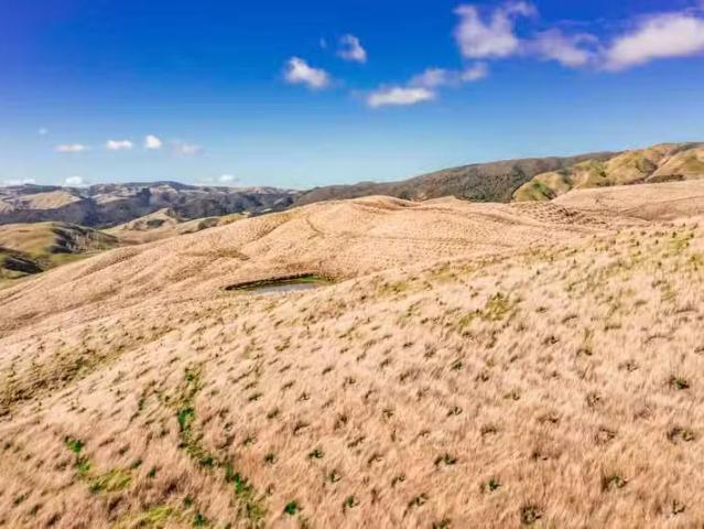 419 Daggs Road, Masterton, Masterton For Sale