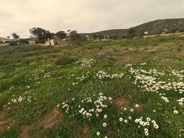 419 m² Land available in St Helena Views