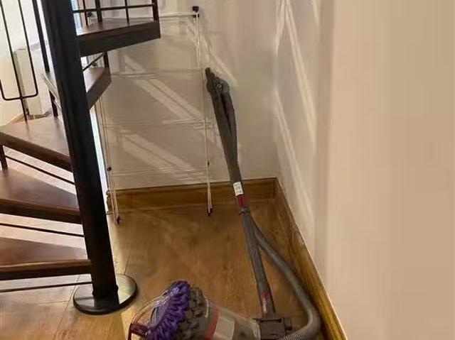 41 The Pine, Winter Garden, Pearse Street, Dublin 2, D02 W448