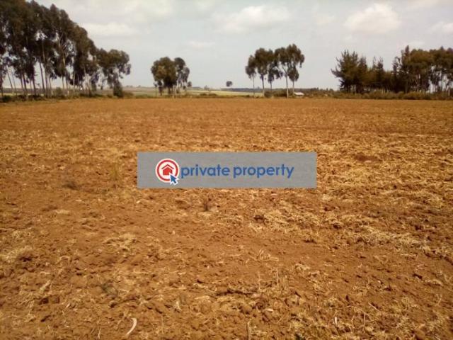 41 Acres Of Land