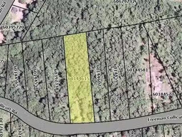 41 Freeman Collicutt Road, Canaan, NS, B0J 1J0 vacant land f.
