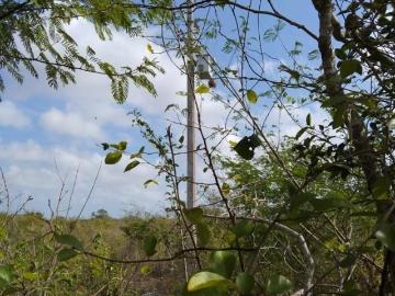 Rancho en Dzemul, Yucatán