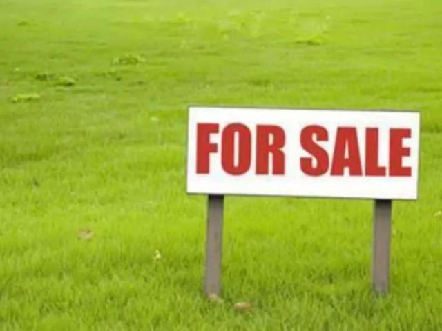 41 lac Plot for sale argnt sell krna he revenue caloni qasimabad Hyderabad ID 21170