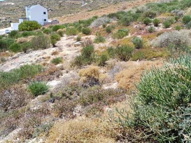 424 m² Land available in St Helena Views