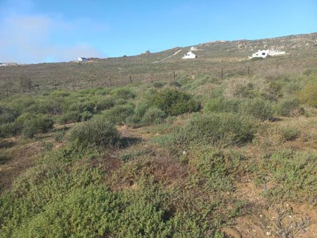 425 m² Land available in Steenbergs Cove