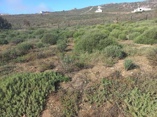 425 m² Land available in Steenbergs Cove