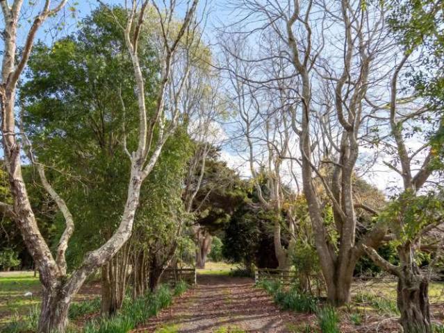 427 Tinui Valley Road, Tinui, Masterton