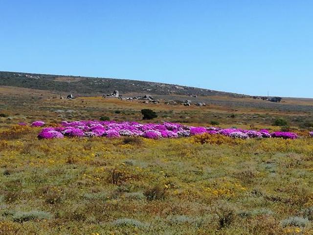429 m² Land available in Steenbergs Cove
