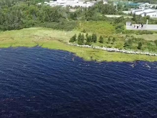 42 Highway 3, Barrington Passage, NS, B0W 2P0 vacant land fo.