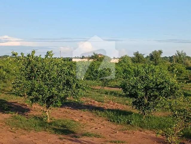 430 Kanal Agricultural Land for Sale In Jhand Attock