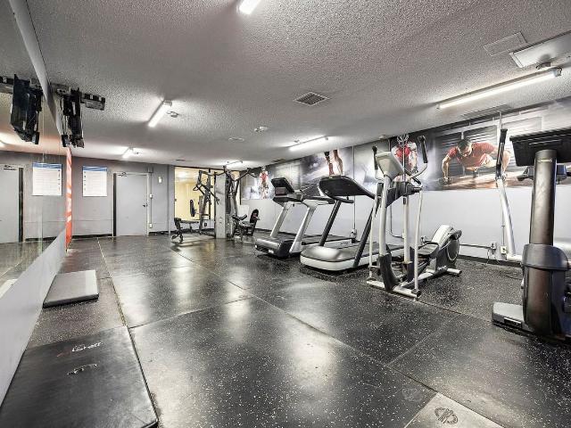 430 McMurchy Avenue South 2 Bedroom Apartment for Rent at 430 Mcmurchy Ave S, Brampton, ON L6Y 2N4 Brampton South