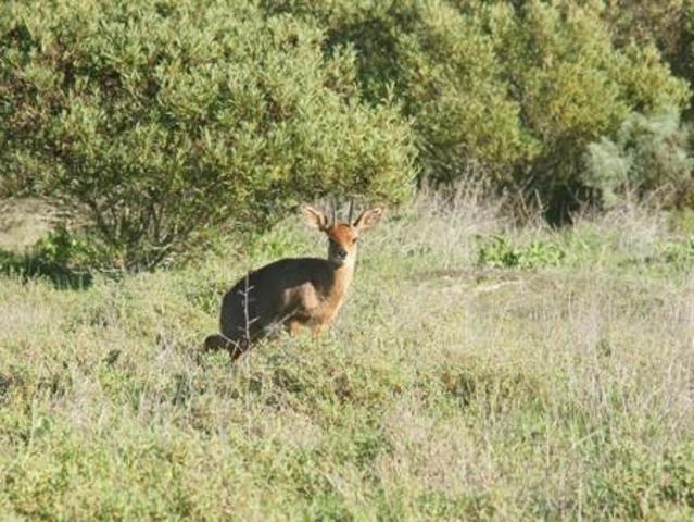 431 m² Land available in St Helena Views