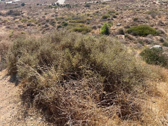 431 m² Land available in Steenbergs Cove