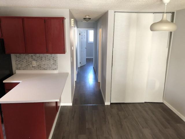 4346 50 Street Northwest, Edmonton, Alberta, Canada, T6L 1W6 3 Bedroom Apartment for Rent at 4346 50 St Nw, Edmonton, AB T6L None