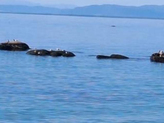 434 m² Land available in Sandy Point