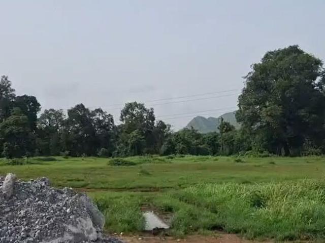43560 Sq.Ft. Plot in Taloja Navi Mumbai Listing ID: #9904