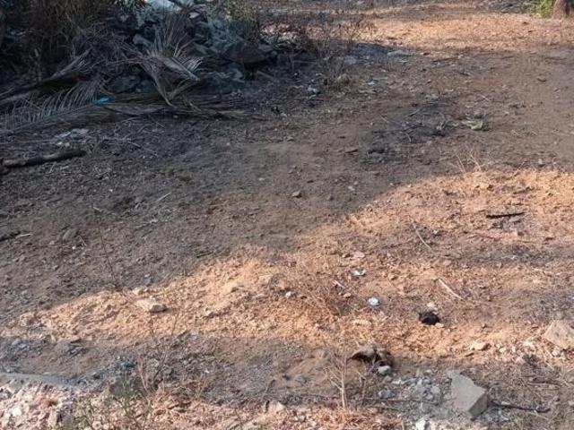 4356 Sq.Ft. Plot in Kodibag Karwar Listing ID: #10144
