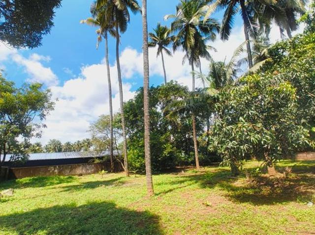 4356 Sq.Ft. Plot in Kuttanellur Thrissur Listing ID: #10346