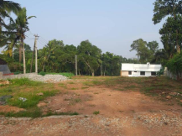 4360 Sq. ft Plot for Sale in Perukavu, Trivandrum
