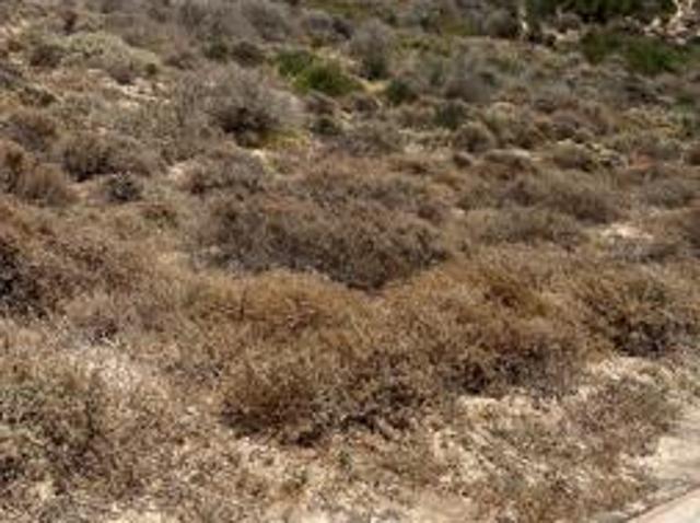438 m² Land available in St Helena Views