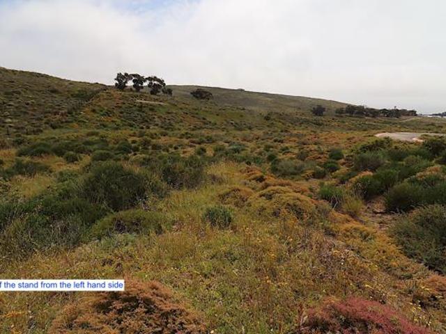 439 m² Land available in St Helena Views