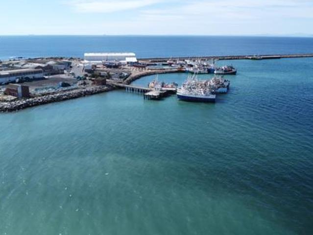 439 m² Land available in Steenbergs Cove