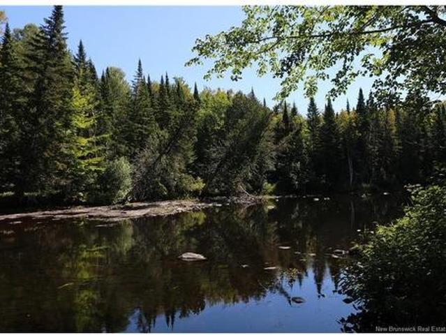 47 Acres North Barnaby Rd, Miramichi, NB, E1N 6G4 vacant land for sale | Listing ID NB146331 | Royal LePage