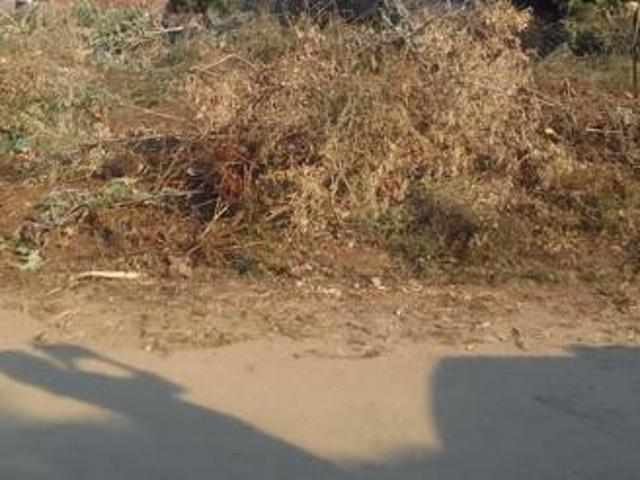 440 m² Land available in Tzaneen