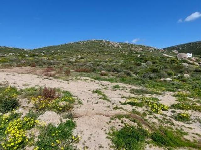 443 m² Land available in St Helena Views