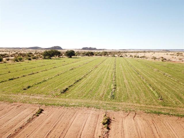 446 ha Farm in Kakamas